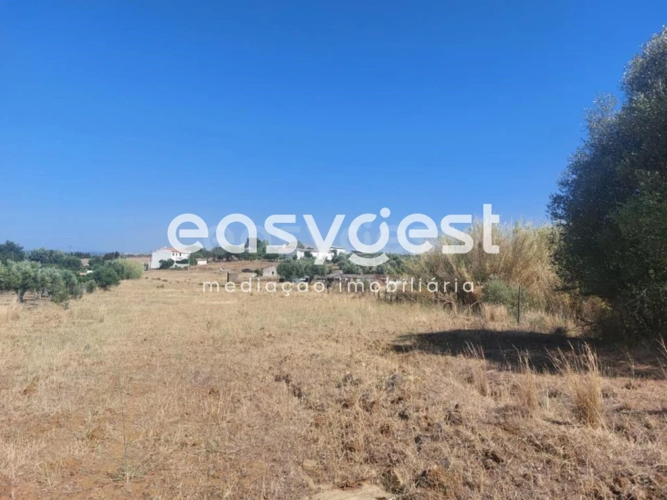 Terreno Agricola ou Rústico para Venda em Beja (Salvador e Santa Maria da Feira) Foto 10