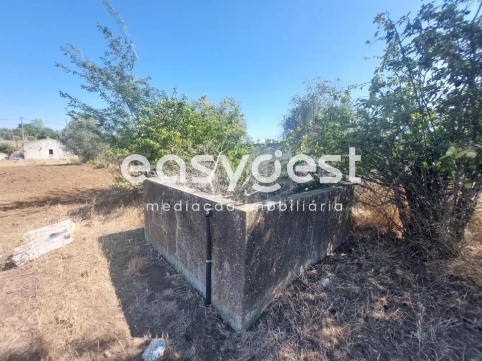 Terreno Agricola ou Rústico para Venda em Beja (Salvador e Santa Maria da Feira) Foto 13