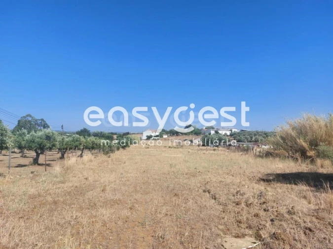 Terreno Agricola ou Rústico para Venda em Beja (Salvador e Santa Maria da Feira) Foto 1