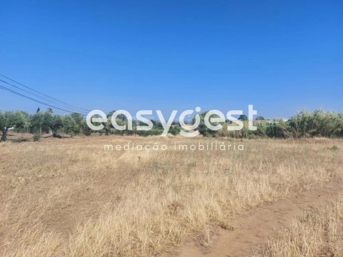 Terreno Agricola ou Rústico para Venda em Beja (Salvador e Santa Maria da Feira) Foto 5
