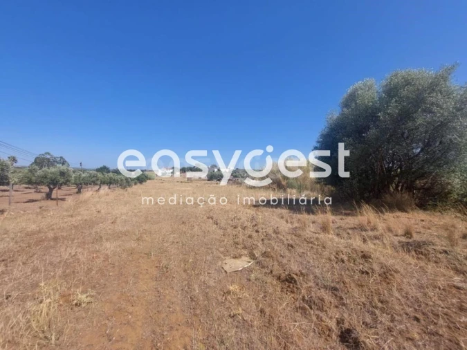 Terreno Agricola ou Rústico para Venda em Beja (Salvador e Santa Maria da Feira) Foto 11