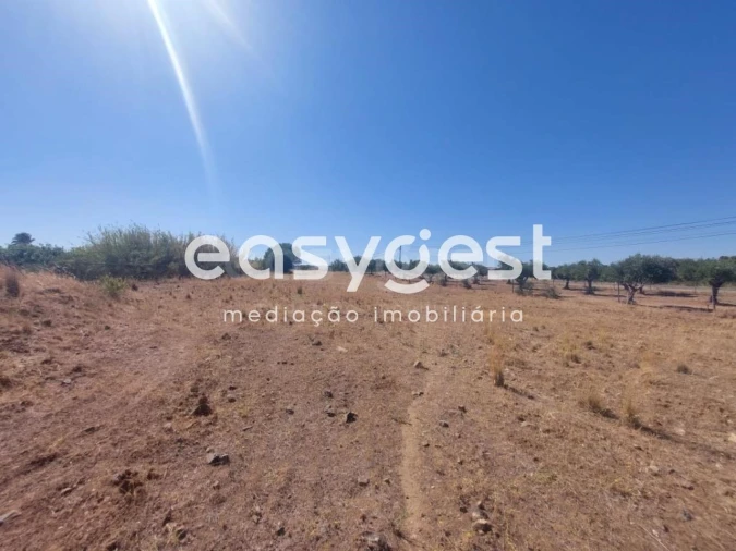 Terreno Agricola ou Rústico para Venda em Beja (Salvador e Santa Maria da Feira) Foto 12