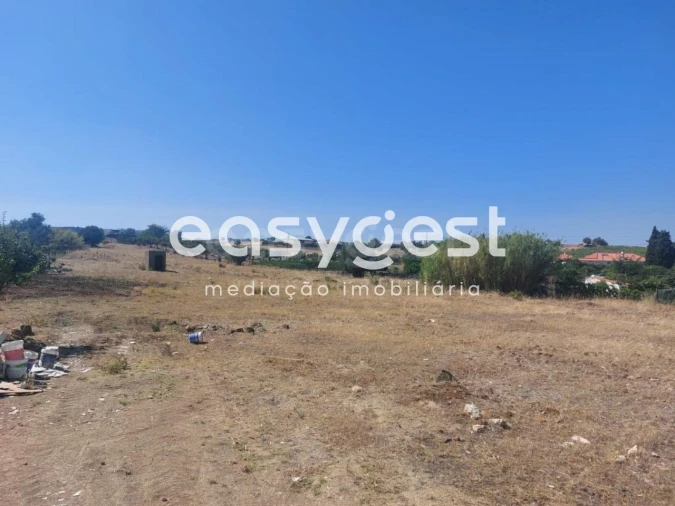 Terreno Agricola ou Rústico para Venda em Beja (Salvador e Santa Maria da Feira) Foto 17