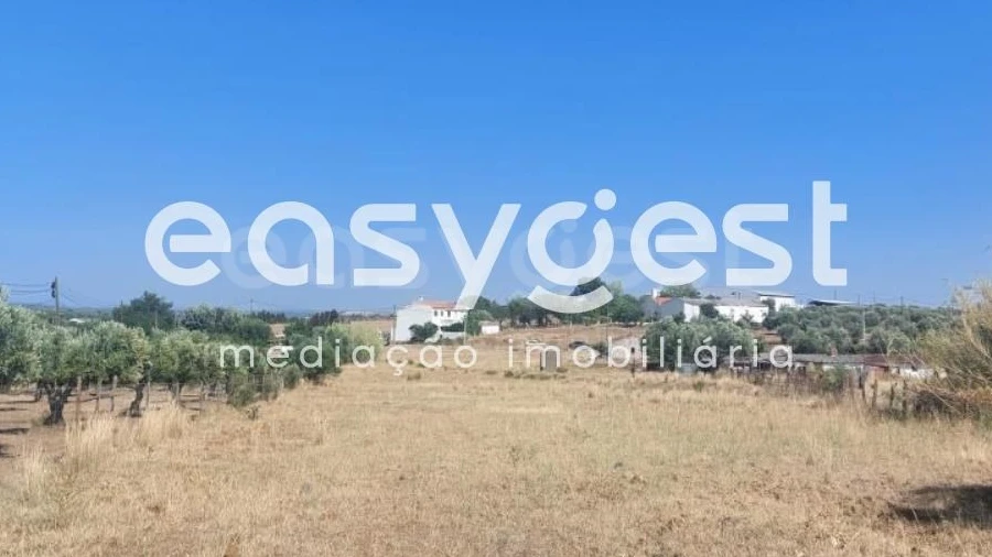 Terreno Agricola ou Rústico para Venda em Beja (Salvador e Santa Maria da Feira)