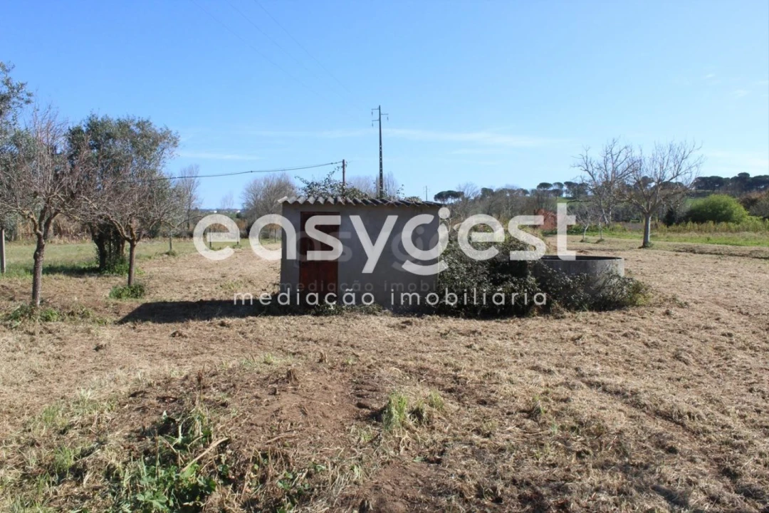 Moradia T4 para Venda em São João Baptista e Santa Maria dos Olivais Foto 14