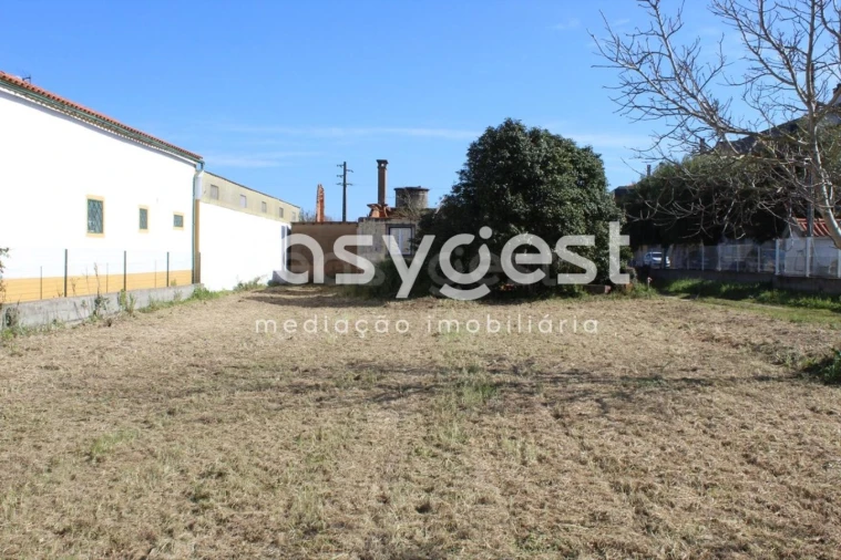 Moradia T4 para Venda em São João Baptista e Santa Maria dos Olivais Foto 3