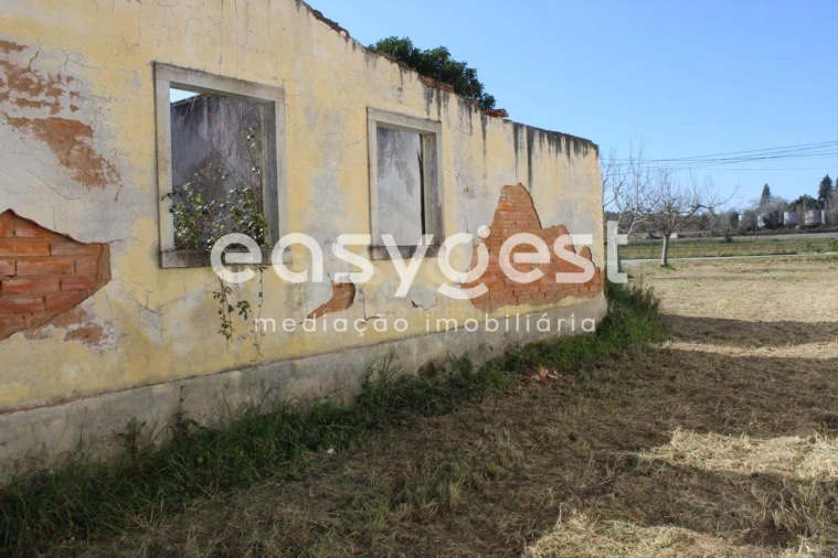 Moradia T4 para Venda em São João Baptista e Santa Maria dos Olivais Foto 6