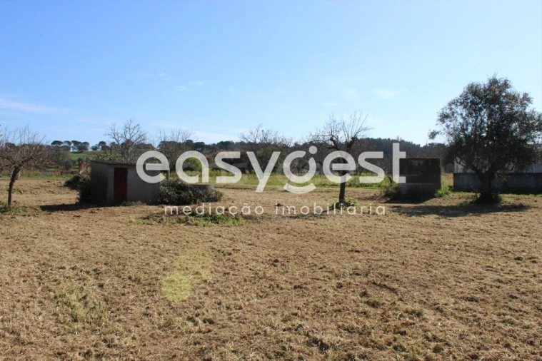 Moradia T4 para Venda em São João Baptista e Santa Maria dos Olivais Foto 15