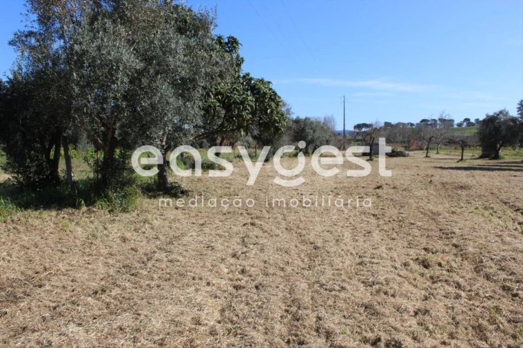 Moradia T4 para Venda em São João Baptista e Santa Maria dos Olivais Foto 16