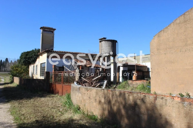 Moradia T4 para Venda em São João Baptista e Santa Maria dos Olivais Foto 20