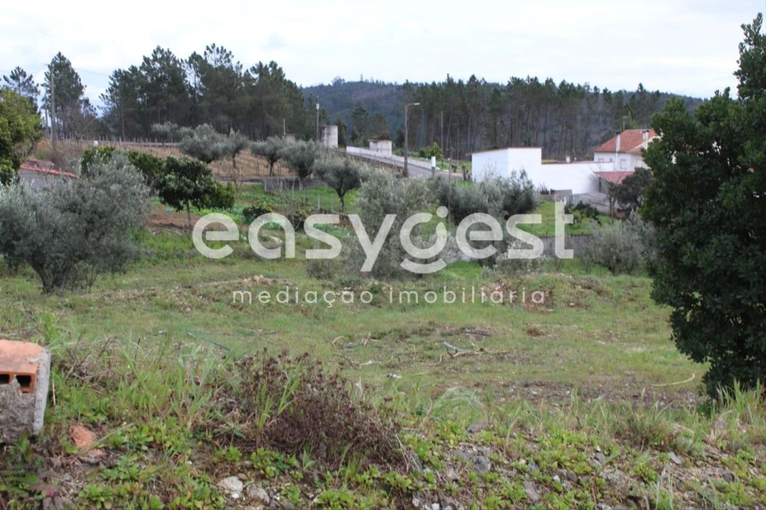 Terreno para Venda em Cardigos Foto 7