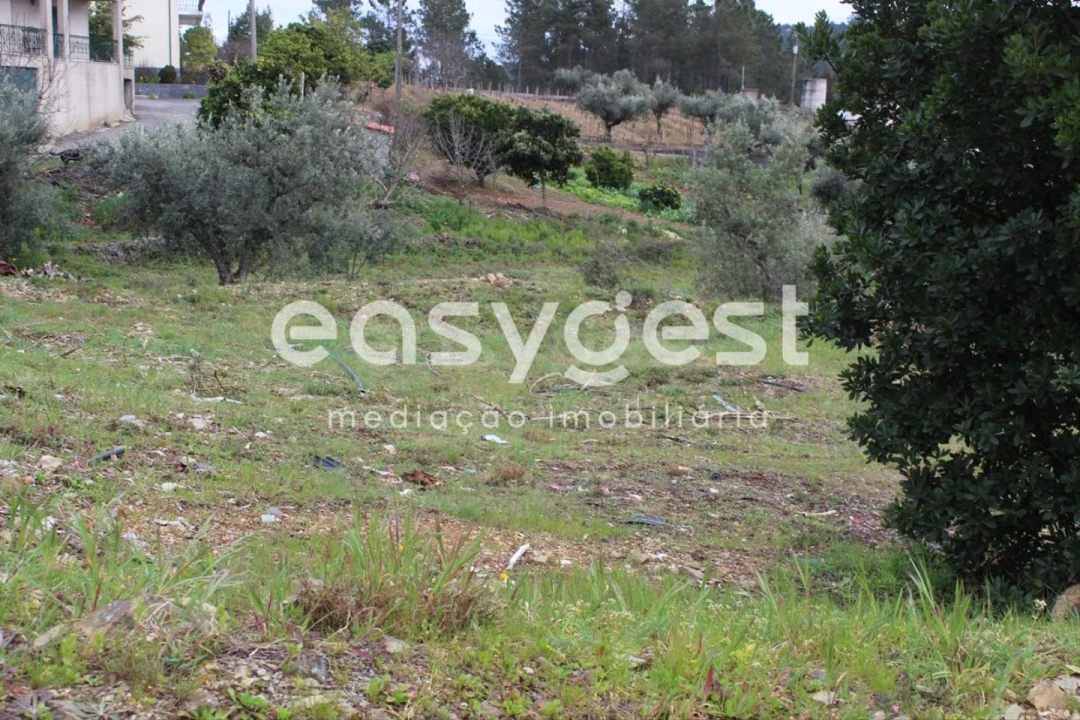 Terreno para Venda em Cardigos Foto 9