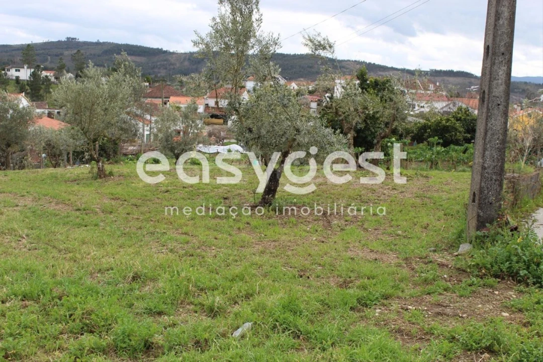 Terreno para Venda em Cardigos Foto 12