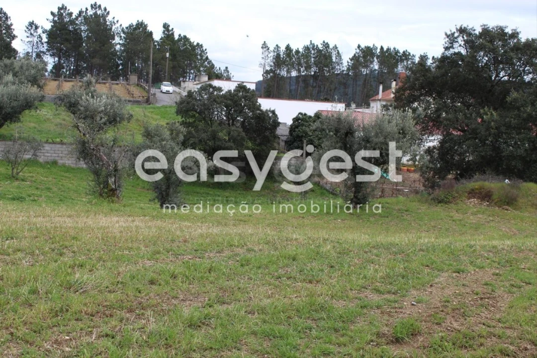 Terreno para Venda em Cardigos Foto 14