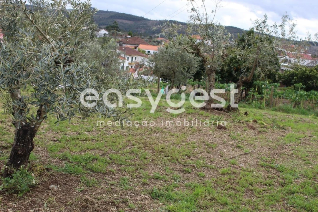 Terreno para Venda em Cardigos Foto 15
