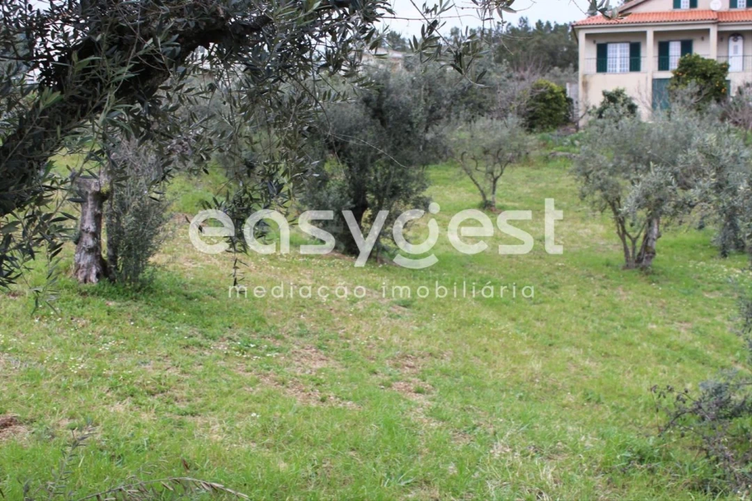 Terreno para Venda em Cardigos Foto 16