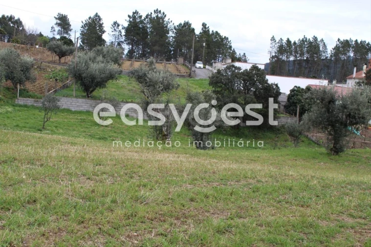 Terreno para Venda em Cardigos Foto 5