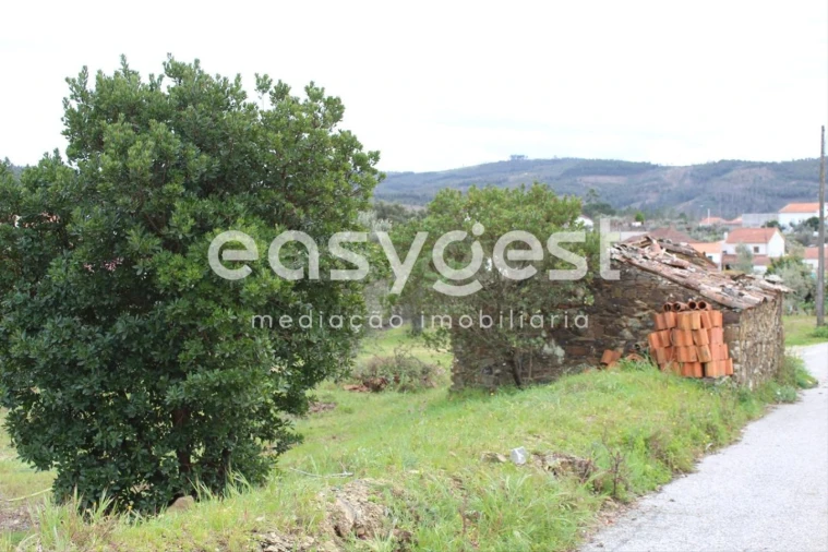 Terreno para Venda em Cardigos Foto 8