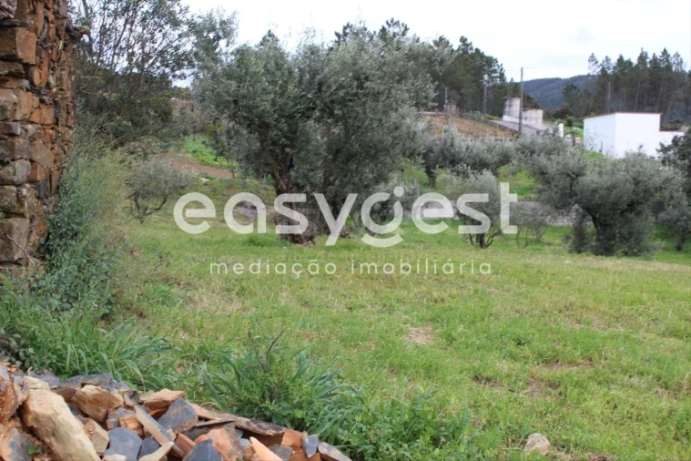 Terreno para Venda em Cardigos Foto 10