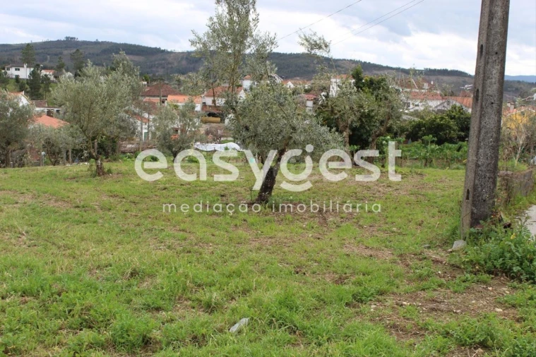 Terreno para Venda em Cardigos Foto 12