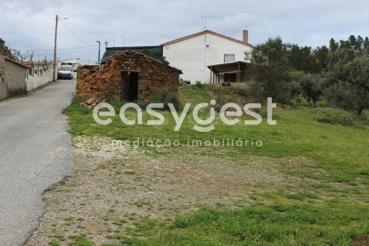 Terreno para Venda em Cardigos Foto 13