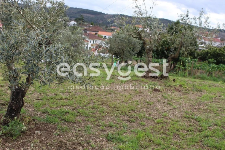 Terreno para Venda em Cardigos Foto 15