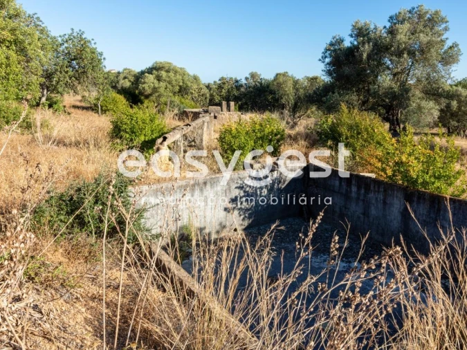 Terreno Misto para Venda em Quelfes Foto 16
