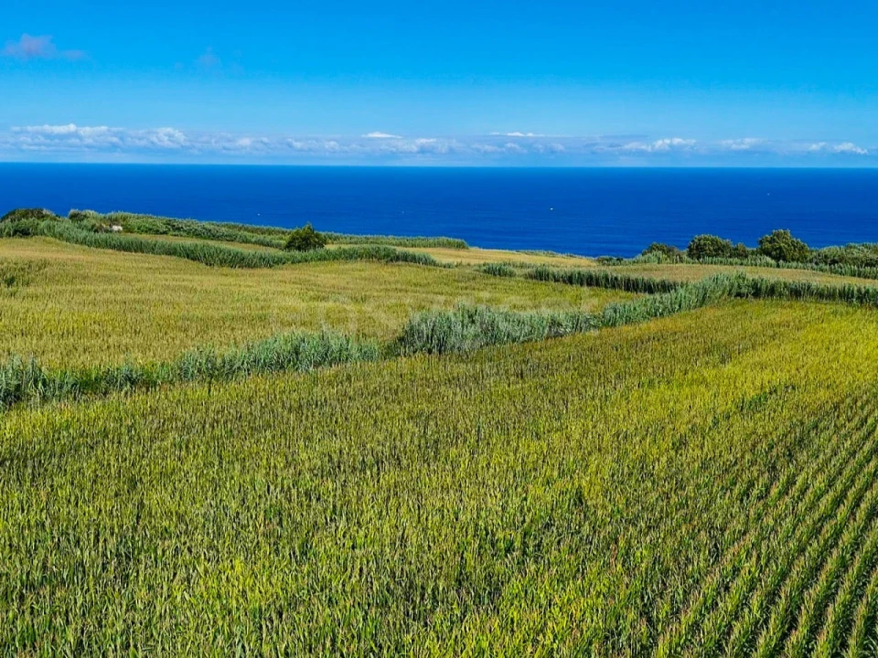 Terreno Agricola ou Rústico para Venda em Pilar da Bretanha Foto 3