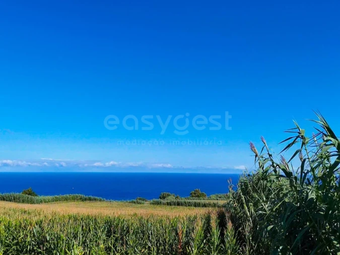 Terreno Agricola ou Rústico para Venda em Pilar da Bretanha Foto 4