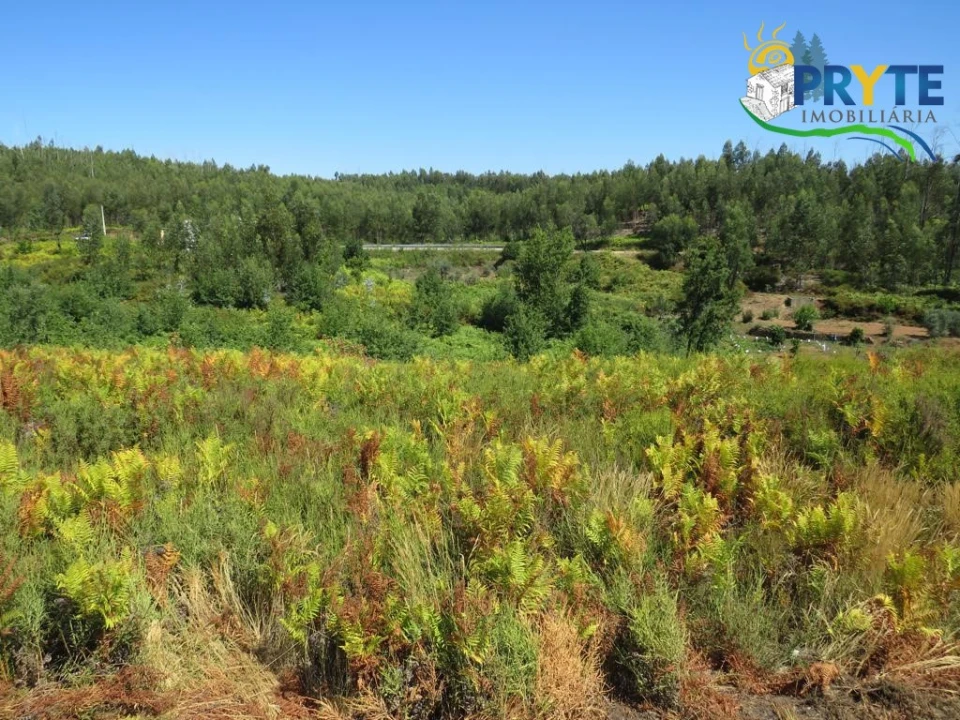 Terreno para Venda em Vila Facaia Foto 7