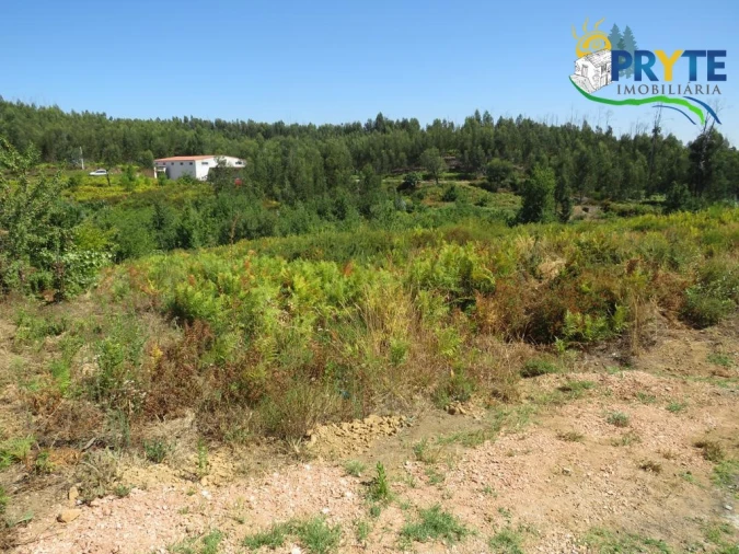 Terreno para Venda em Vila Facaia Foto 4