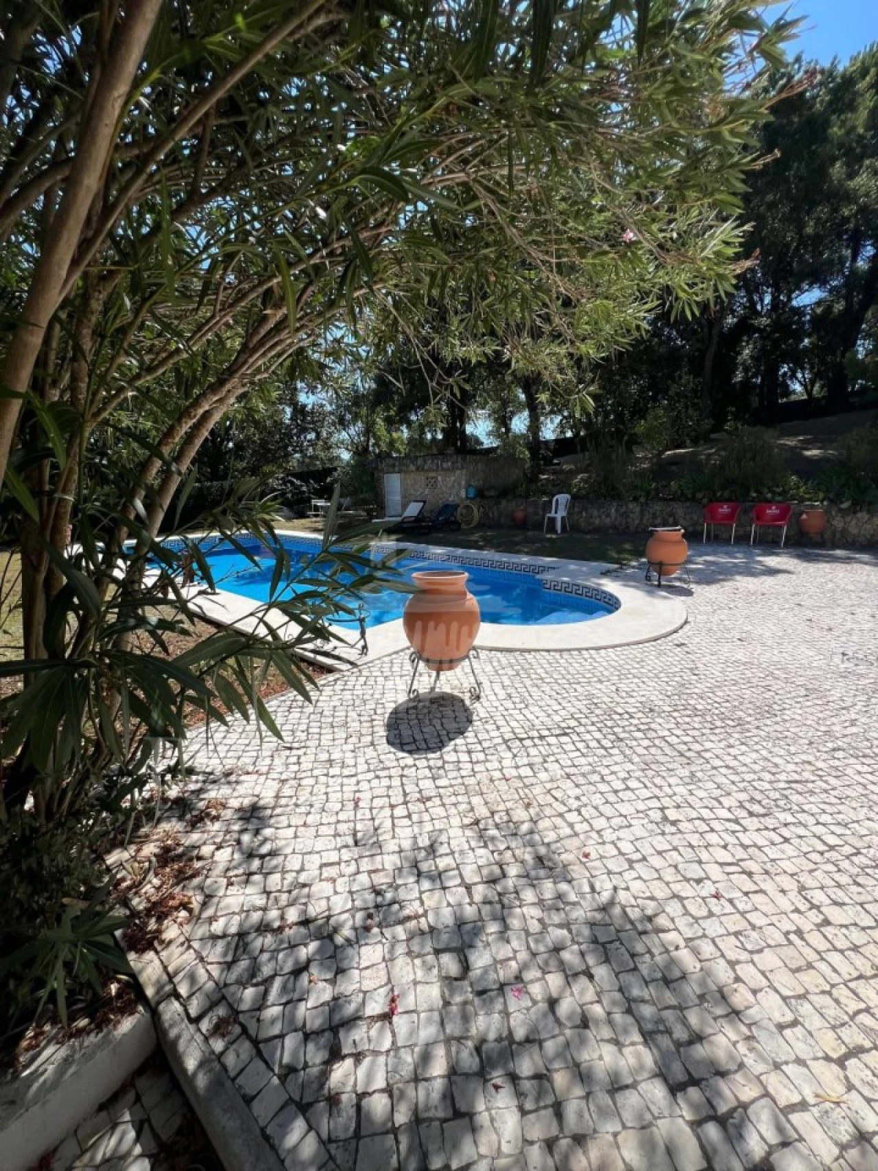 Moradia T4 para Venda em Casais e Alviobeira Foto 5