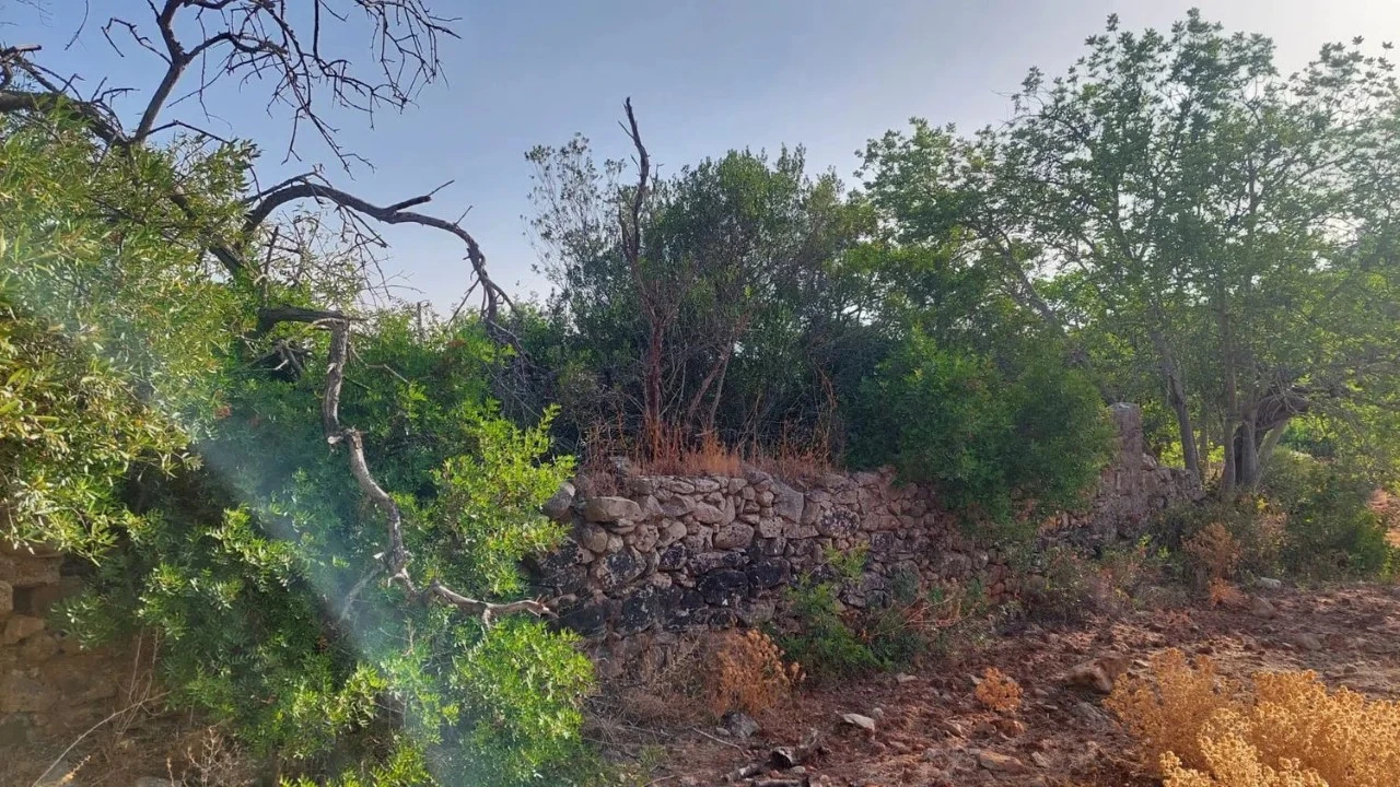 Terreno para Venda em Moncarapacho e Fuseta Foto 7