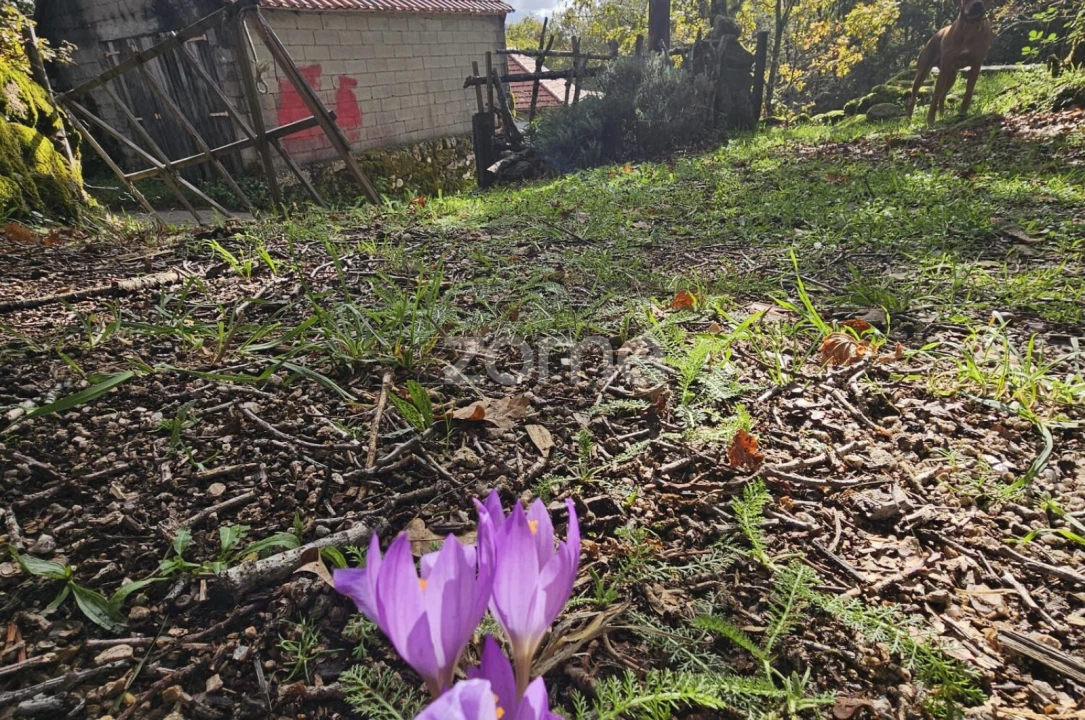 Moradia T2 para Venda em Castro Laboreiro e Lamas de Mouro Foto 27