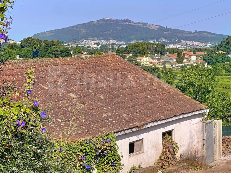 Moradia T3 para Venda em Venade e Azevedo Foto 13