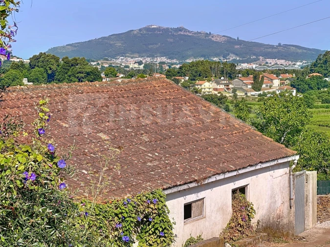 Moradia T3 para Venda em Venade e Azevedo Foto 13