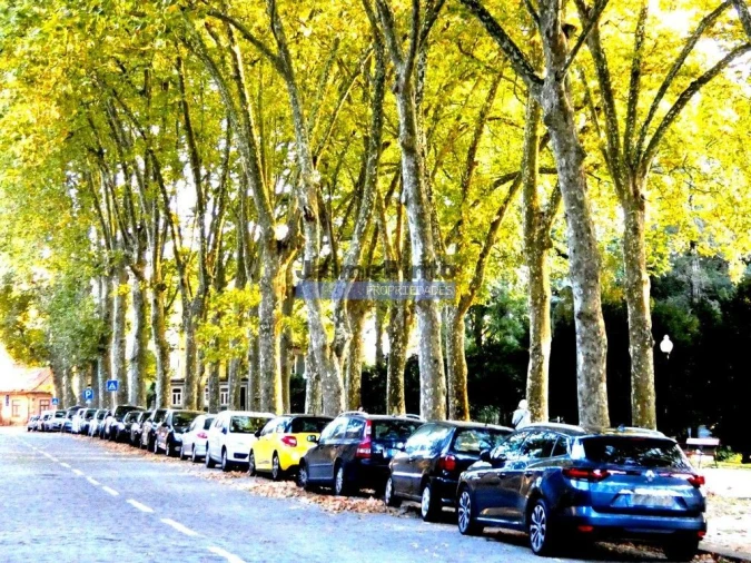 Terreno P/ Prédio para Venda em Paranhos Foto 5