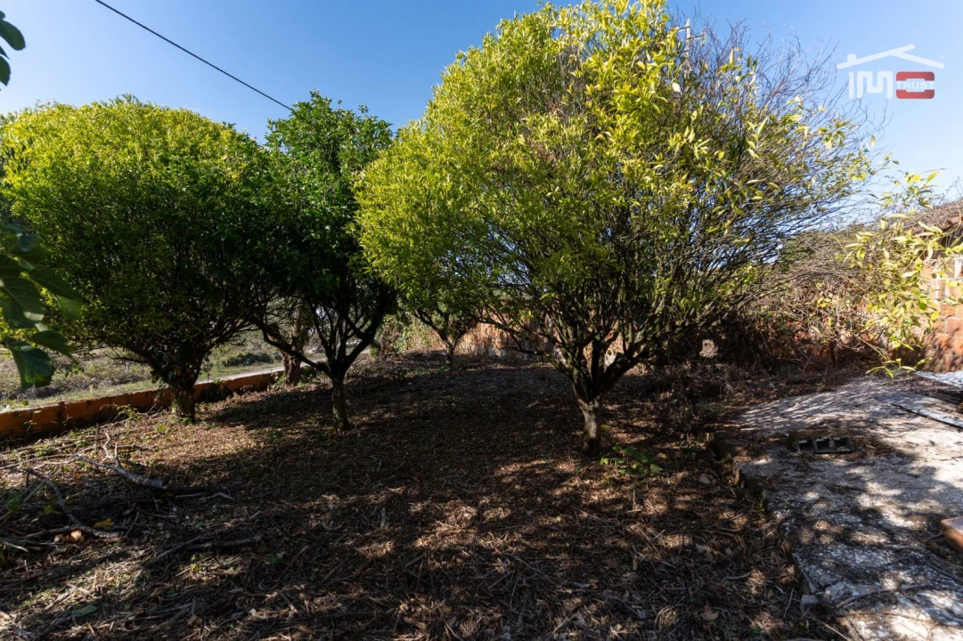 Moradia T3 para Venda em Serro Ventoso Foto 35