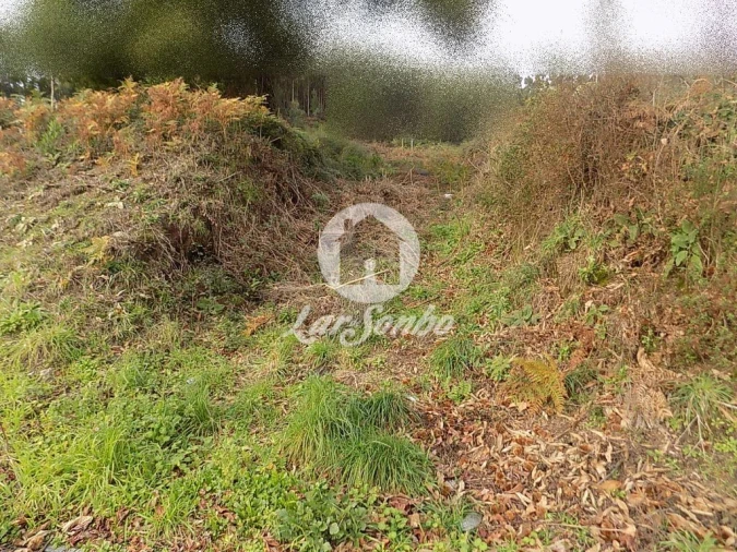 Terreno para Venda em Viatodos, Grimancelos, Minhotães, Monte Fralães Foto 3