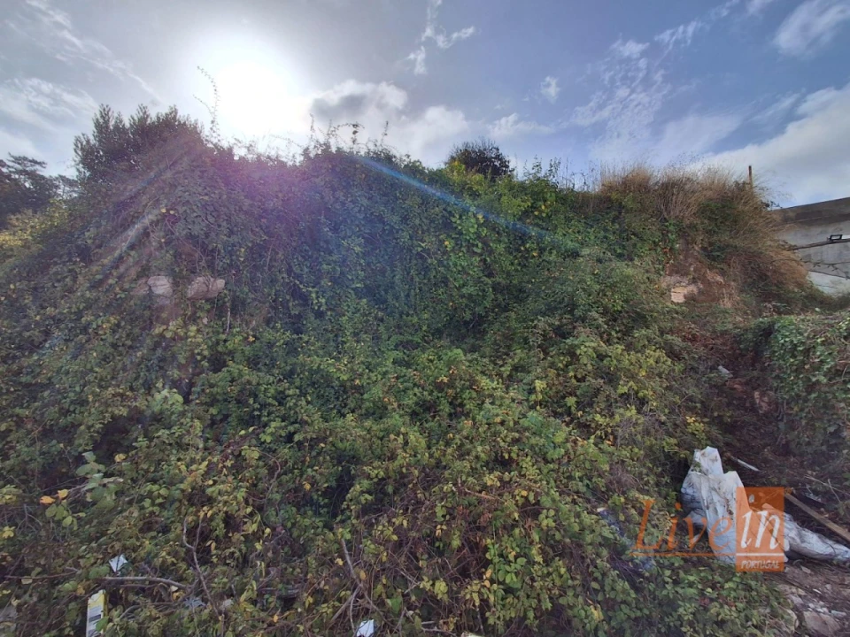 Terreno para Venda em Freiria Foto 3