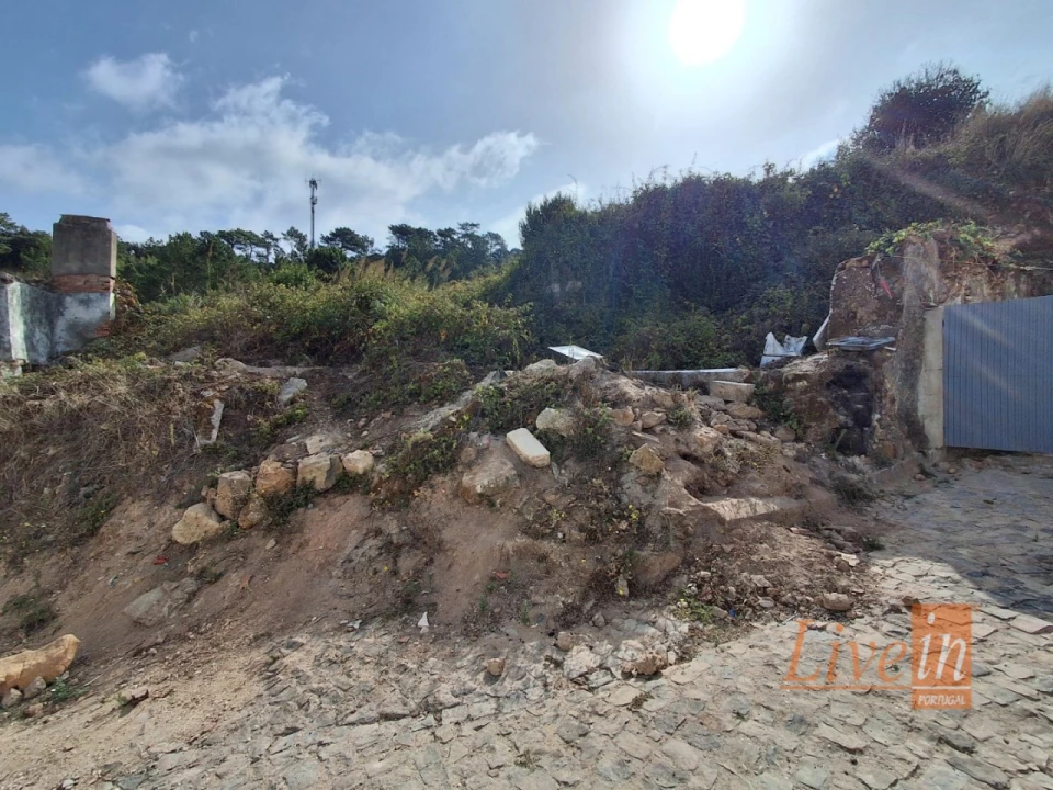 Terreno para Venda em Freiria Foto 9