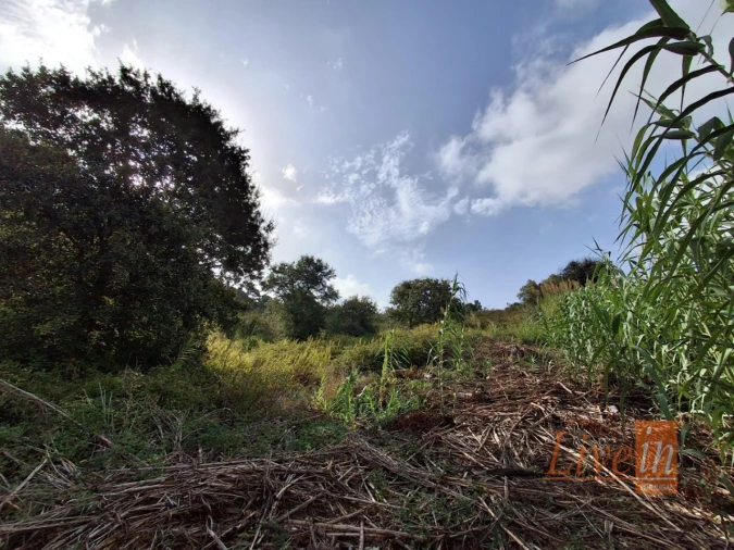 Terreno para Venda em Freiria Foto 7