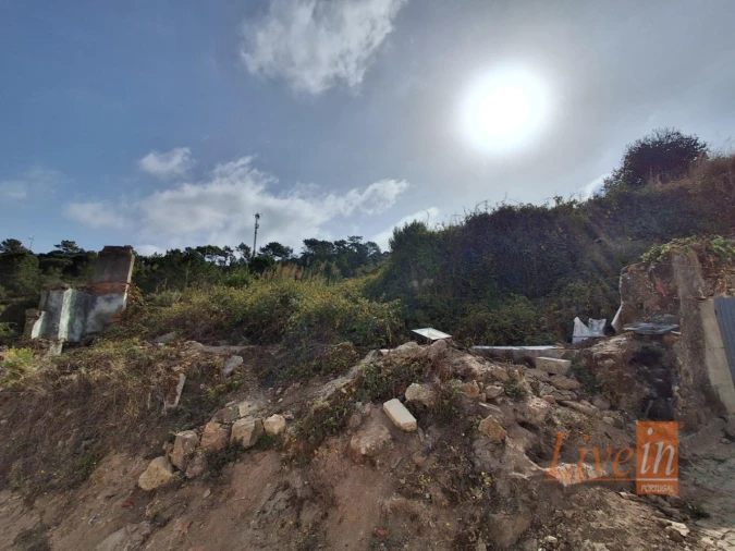 Terreno para Venda em Freiria Foto 11