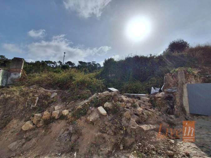 Terreno para Venda em Freiria Foto 12