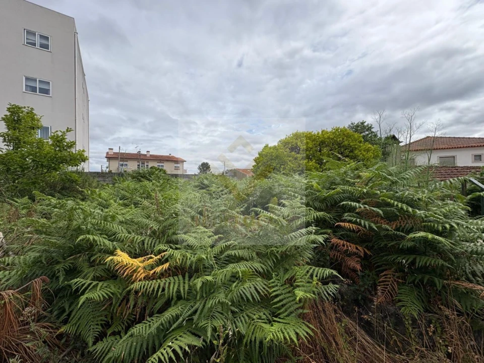 Moradia T6 para Venda em Ovar, São João, Arada e São Vicente de Pereira Jusã Foto 5