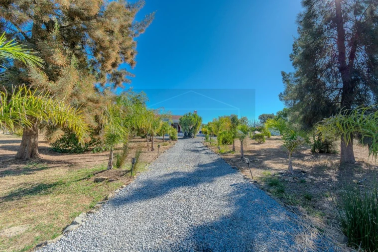 Quinta T4 para Venda em Ourique Foto 5