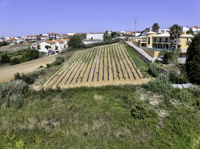 Terreno para Venda em Santa Barbara Foto 2