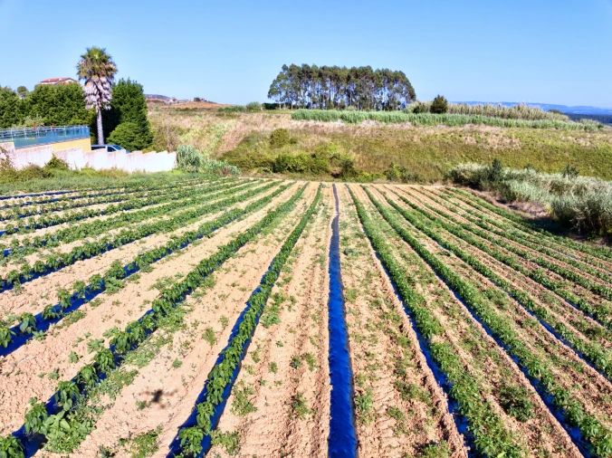 Terreno para Venda em Santa Barbara Foto 5