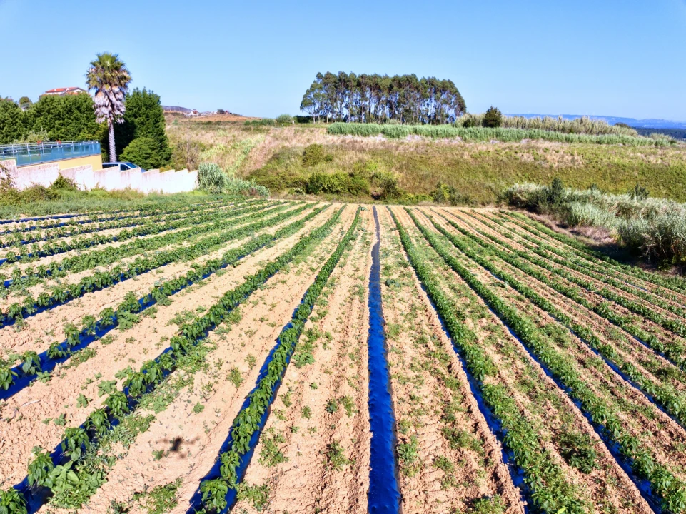 Terreno para Venda em Santa Barbara Foto 9