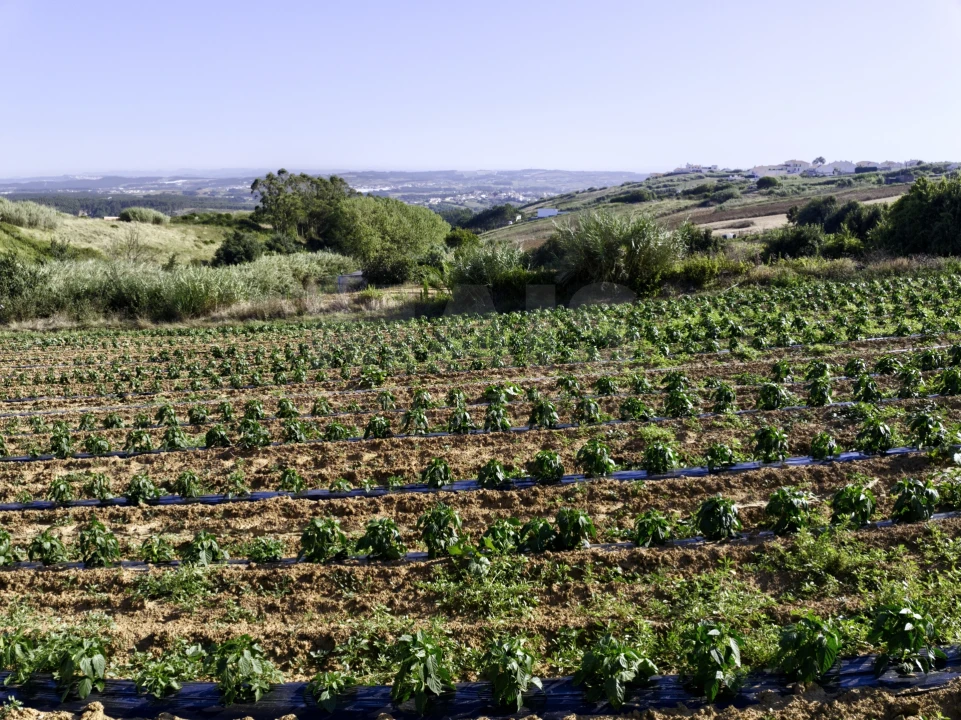 Terreno para Venda em Santa Barbara Foto 1